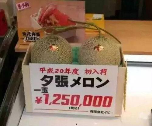 娱乐吃瓜群众群