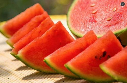 小龙娱乐辩论吃瓜